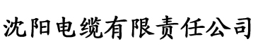 亚洲变态另类av一区二区三区电缆厂logo